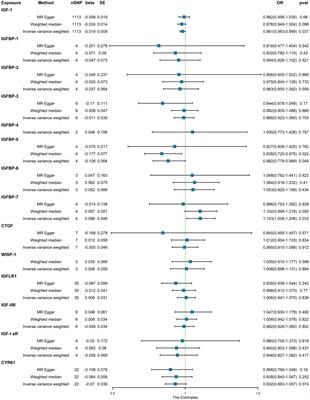 Mendelian randomization analysis demonstrates the causal effects of IGF family members in diabetes